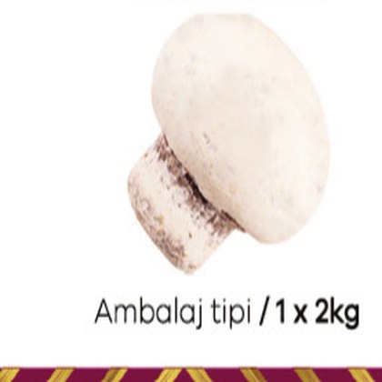 Elit Pralin Dolgulu Sütlü Mantar Beyaz 1x2 Kg