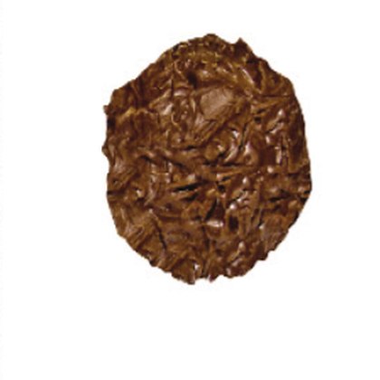 Elit Sütlü Truffle 6x2 Kg
